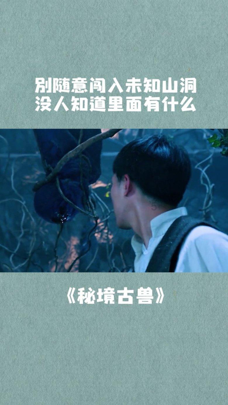 猫鼬大逃脱